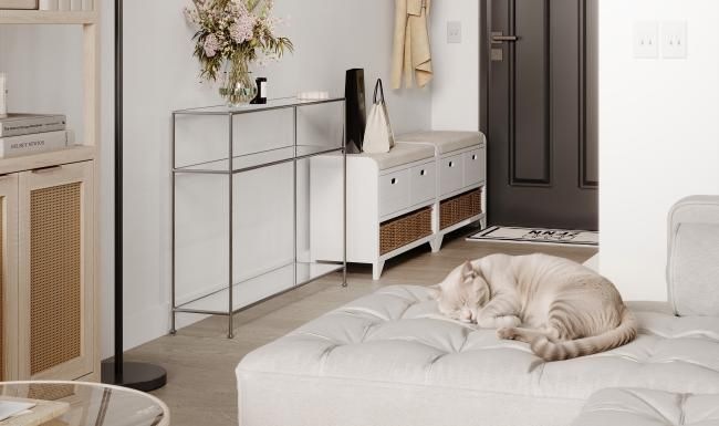 a dog lying on a couch
